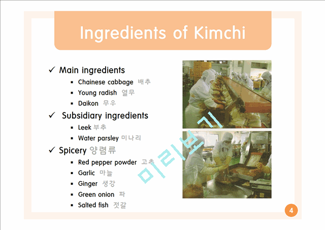 Microbial Chefs (Kimchi & soybean paste)   (4 )